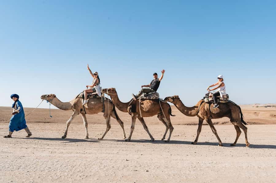 Agafay Desert Luxury Dinner w Live Music & Fire Show - Meeting near La Mamounia at 6:00 PM