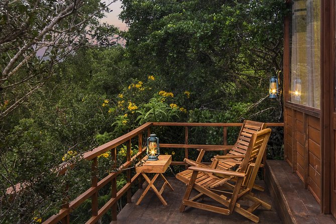 All Inclusive Leopard Nest Treehouse Safari in Yala - What the two-day Yala plan actually feels like