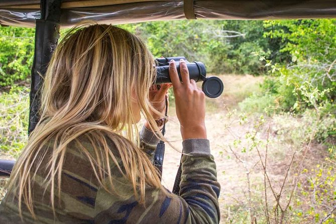 All Inclusive Leopard Nest Treehouse Safari in Yala - Useful planning details before you pay