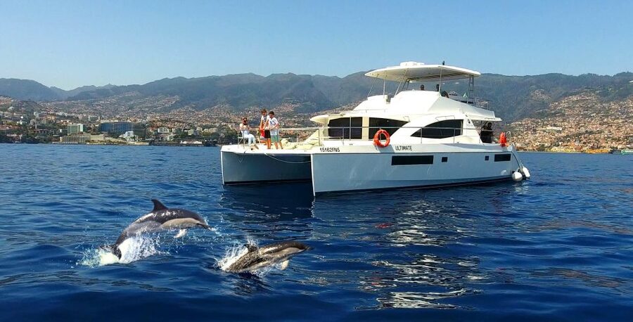 All Inclusive Whale and Dolphin Watching Luxury Tour - Quick points before you book
