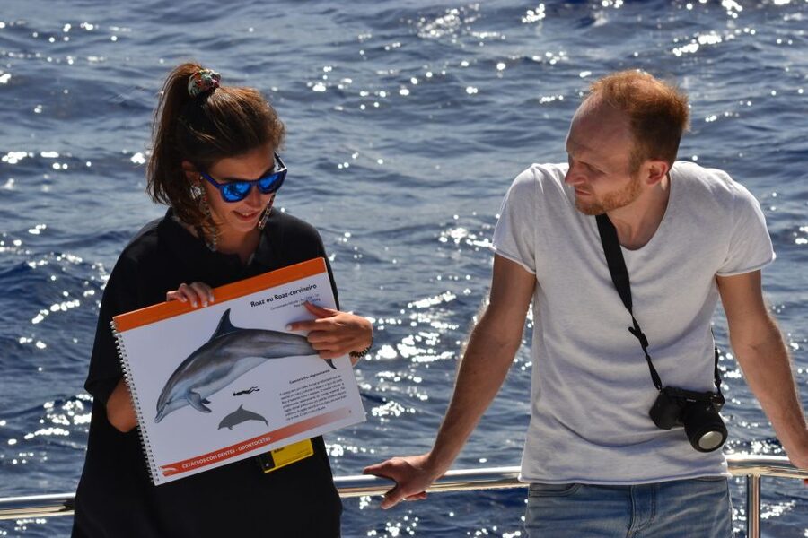 All Inclusive Whale and Dolphin Watching Luxury Tour - What the premium price buys you