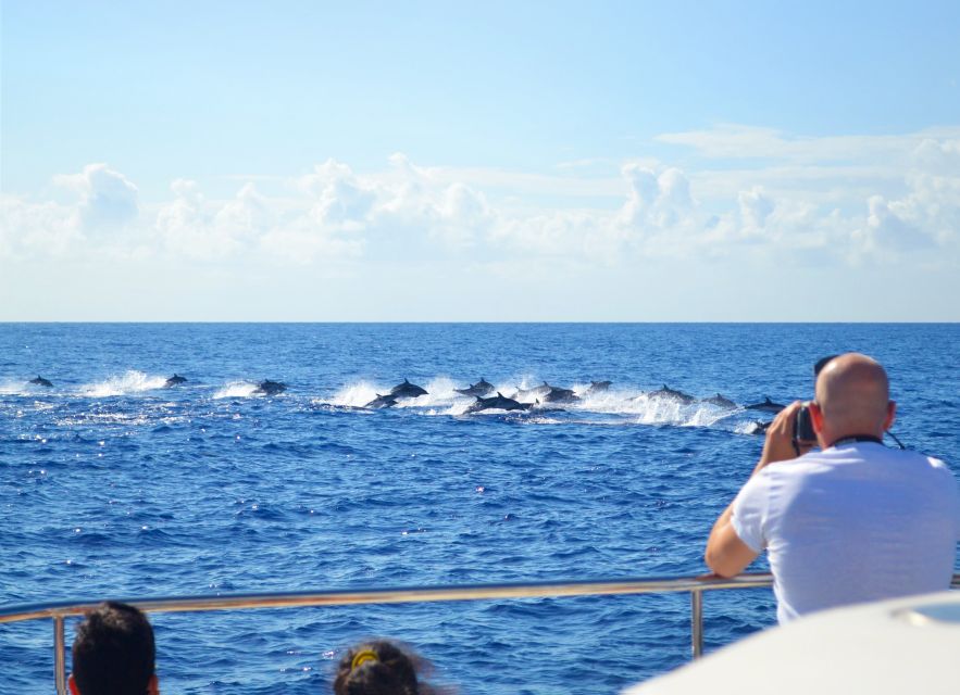 All Inclusive Whale and Dolphin Watching Luxury Tour - The first 45 minutes: heading into open water