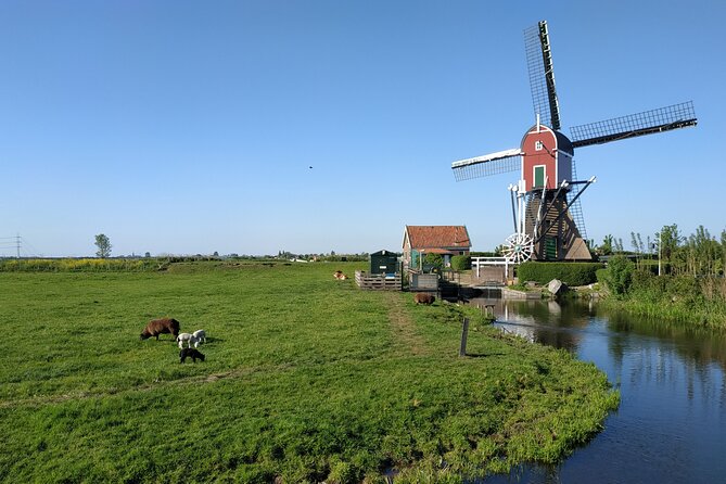 Amsterdam and Countryside Private Full-Day Tour by luxury car - Monnickendam and the organic farm cheese tasting