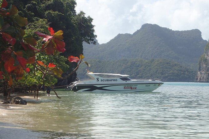 Angthong National Marine Park VIP Small Group Tour - A small group changes the whole day