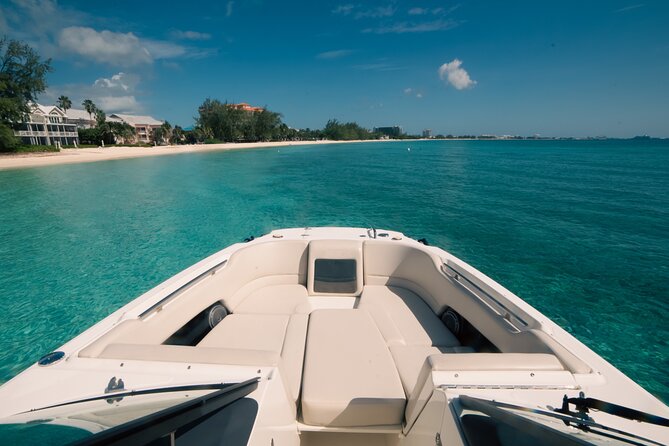 Aquaholic Charters: Private 1.5 - 4Hrs Cayman Luxury Adventure - Coral Garden brings the reef into the picture