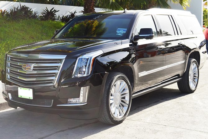 Arrival Luxury Transportation: Punta Cana International Airport to Hotels (1-5) - Meeting your driver at Punta Cana International Airport