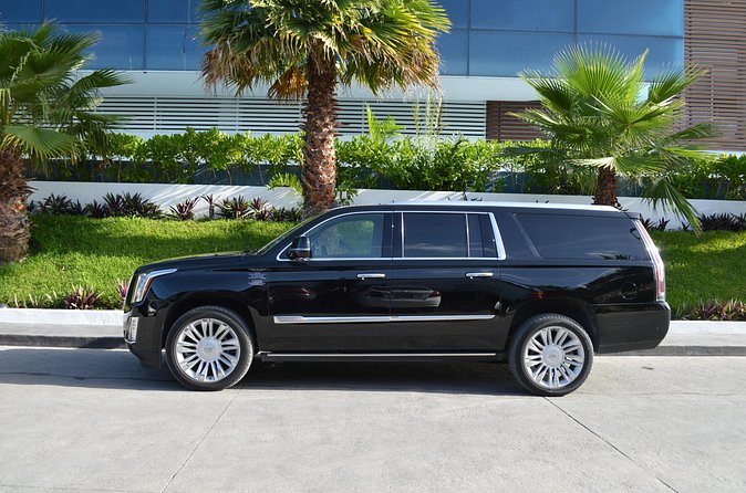 Arrival Luxury Transportation: Punta Cana International Airport to Hotels (1-5) - Who should book this airport transfer?