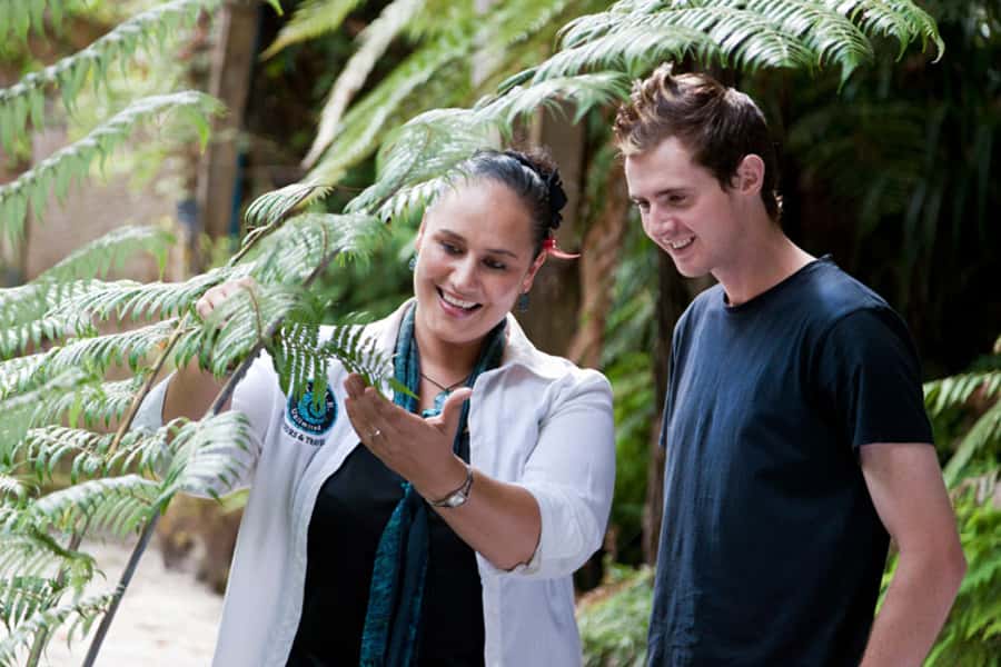 Auckland City & West Coast Luxury Tour - Devonport, an old North Shore village