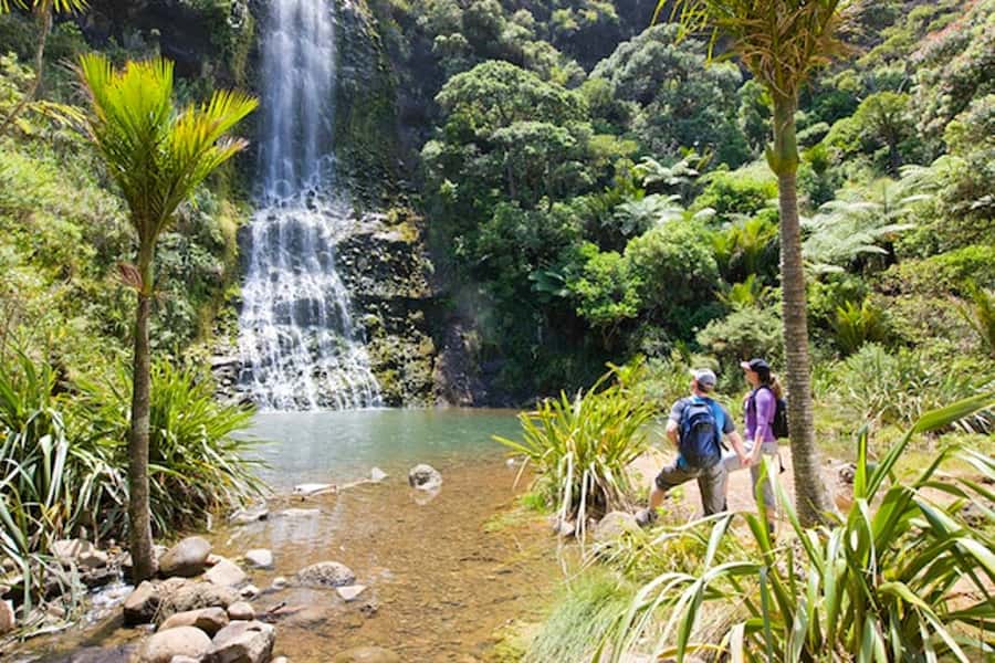 Auckland City & West Coast Luxury Tour - Lunch, drinks, and the $202 price