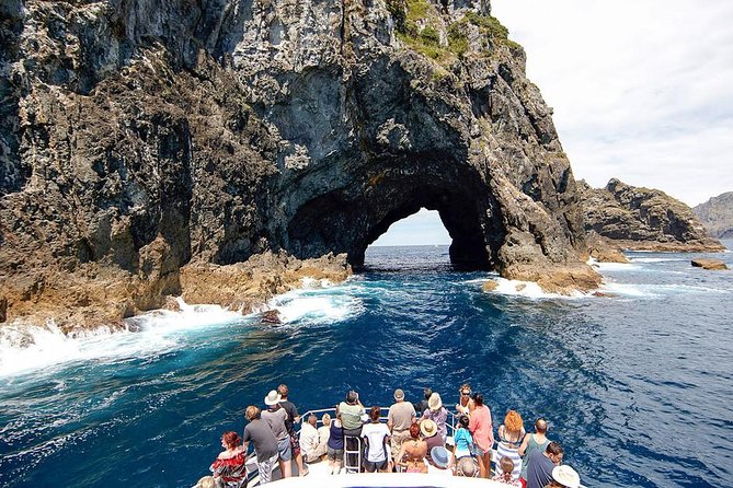 Auckland Sights Exclusive 4 Hour Luxury Day Tour - North Head: tunnels, defense works, and big views