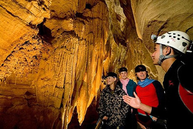 Auckland Sights Exclusive 4 Hour Luxury Day Tour - How much can fit into four hours