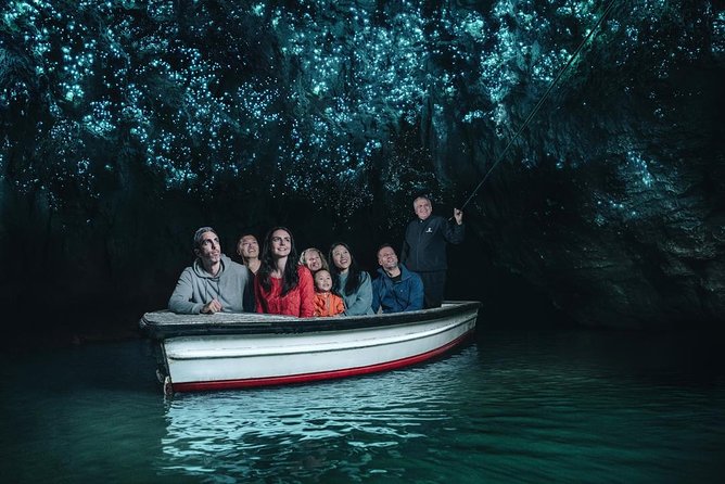 Auckland Sights Exclusive 4 Hour Luxury Day Tour - The guides make the biggest difference