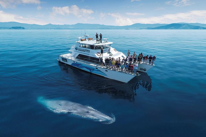 Auckland Sights Exclusive 8 Hour Luxury Day Tour - Auckland Museum and New Zealand stories