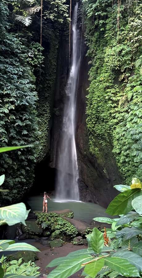 Bali: Green and Heritage West Trip Private Tour, Luxury Car - Who Will Get the Most From This Tour