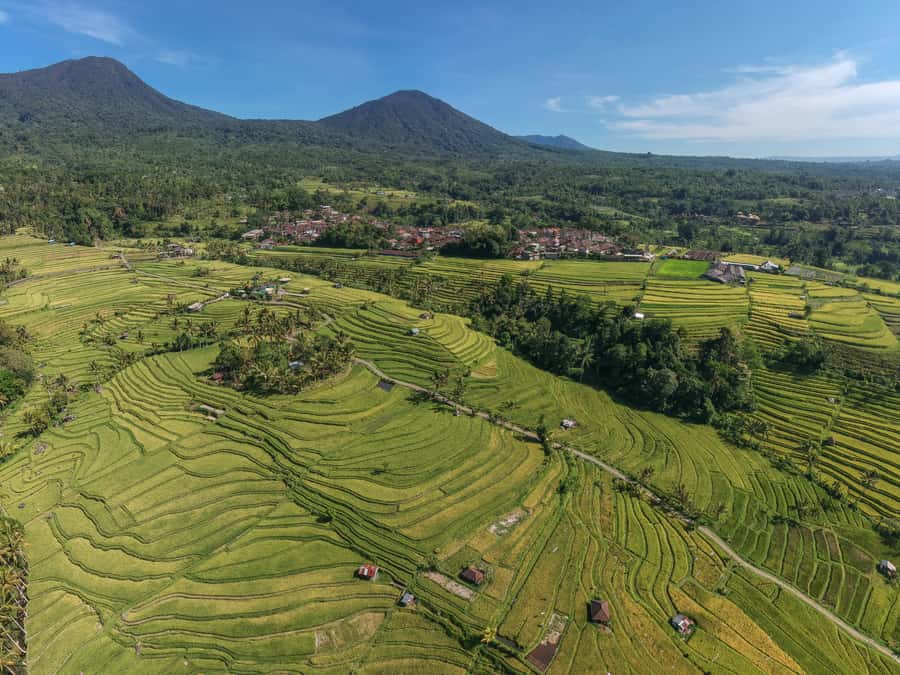 Bali: Green and Heritage West Trip Private Tour, Luxury Car - Jatiluwih Rice Terraces: The Day’s Broadest Views