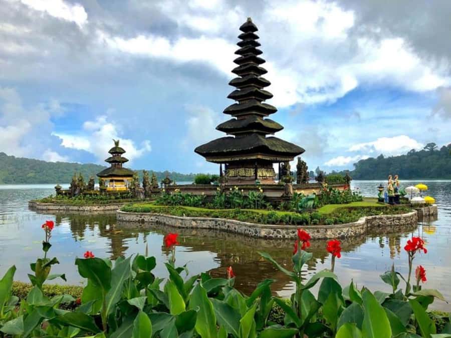 Bali: Green and Heritage West Trip Private Tour, Luxury Car - What the Driver Can Add to the Day