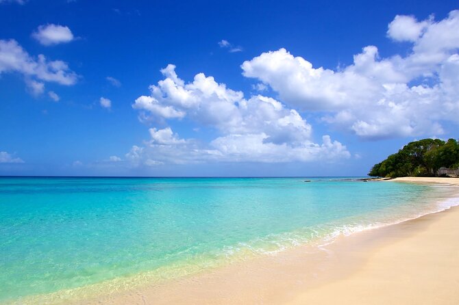 Barbados -Luxury Cruise with Lunch and Open Bar By Oceanluxx - Who Will Enjoy Oceanluxx Most?
