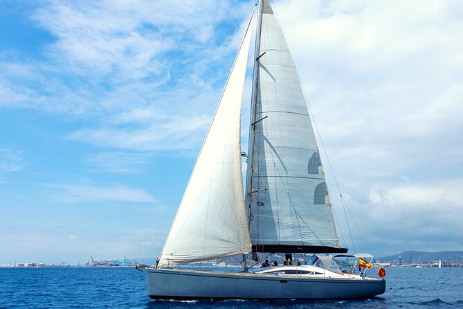 Barcelona Luxury Yacht Cruise – Day or Sunset, Open Bar & Snacks - The swim stop and marine life