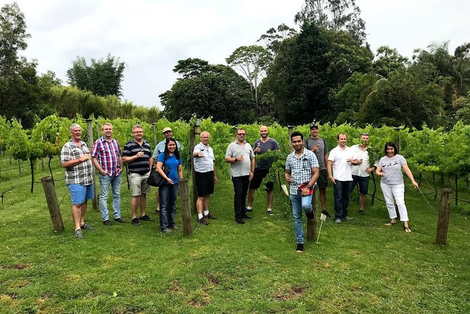 Barefoot Luxury Mount Tamborine Winery Tour from Brisbane - Witches Falls Winery and the first tasting