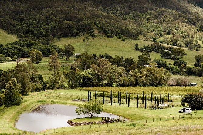 Barefoot Luxury Mount Tamborine Winery Tour from Brisbane - Lunch with mountain views