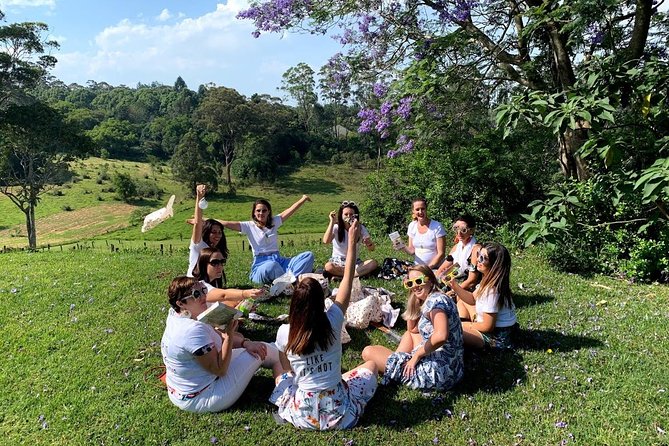 Barefoot Luxury Mount Tamborine Winery Tour from Gold Coast - The national park viewpoint and Gold Coast skyline