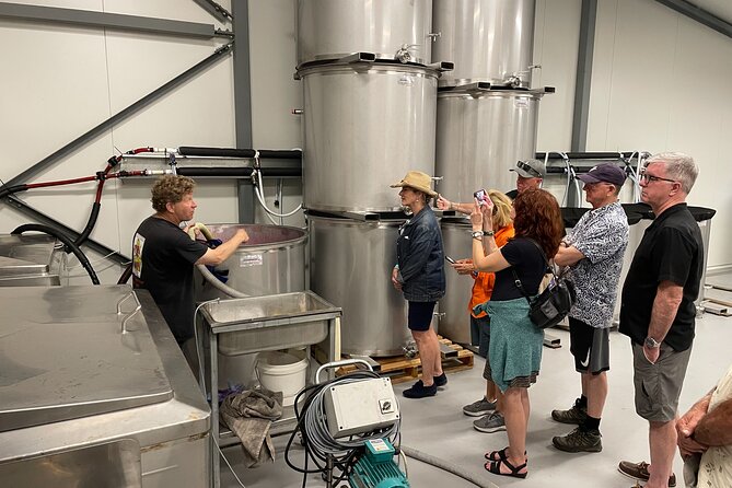 Barossa Valley Private Luxury Tour Full Day - Who should choose this Barossa tour?