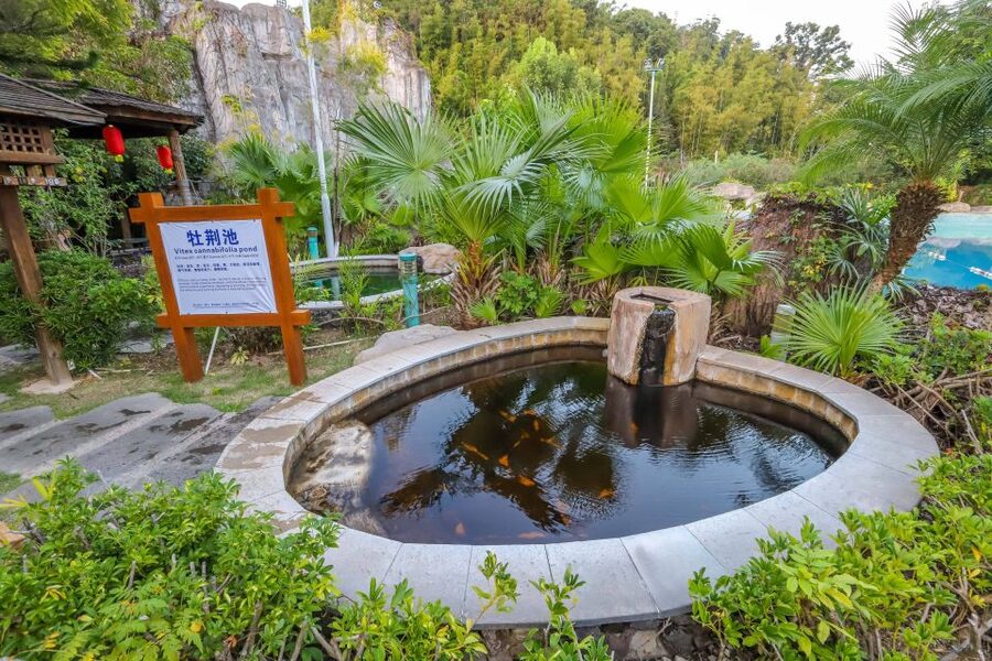 Beijing: Badaling Great Wall VIP Pass w/Optional Attractions - Reaching Badaling by shuttle and cable car