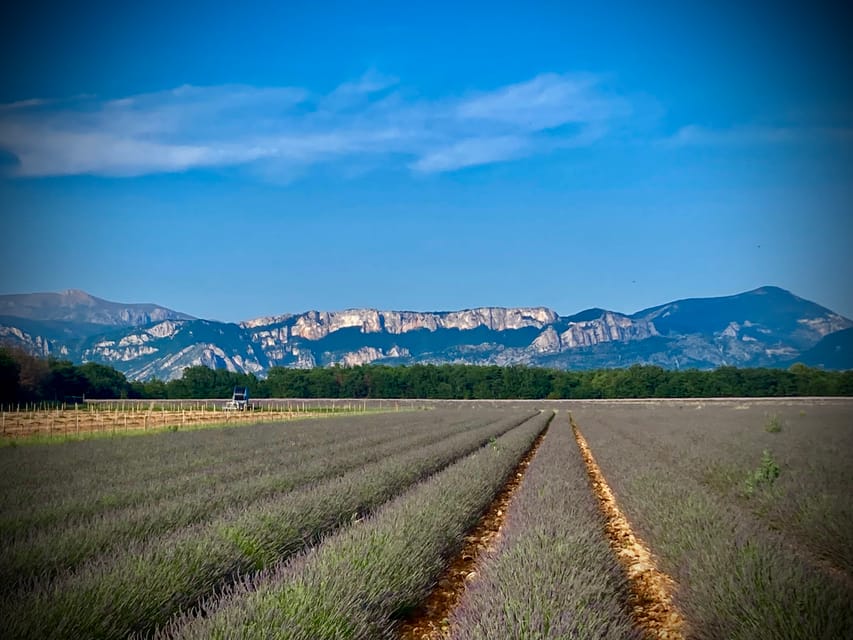Bespoke Luxury Sightseeing Experiences - The White route into the southern Alps