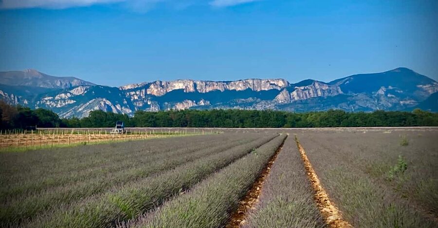 Bespoke Luxury Sightseeing Experiences - The Velvet route from Nice to Monaco