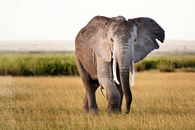 Best 5 Days Tanzania Private Luxury Safari with luxury Lodges - Lake Natron, Flamingos, and Ol Doinyo Lengai