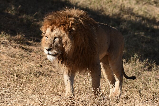 Big Five Luxury 7 Days Safari Tour in Arusha - Day 6: Lake Manyara for a Different Final Park