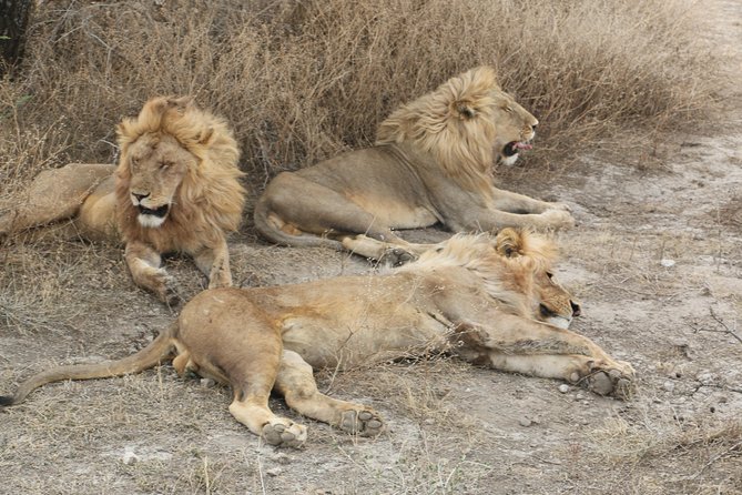 Big Five Luxury Safari in Tanzania - Day 3: The long road to the Serengeti