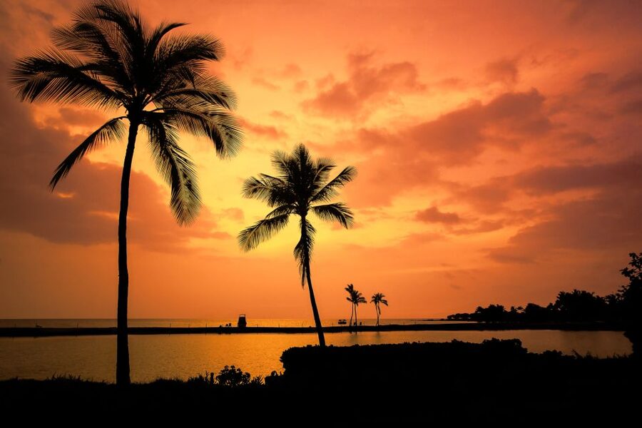 Big Island: Luxury Catamaran Trip along the Kona Coast - Who should book this Kona sailing trip?