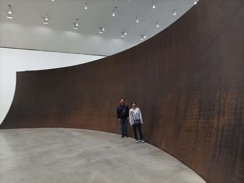 Bilbao: Guggenheim VIP Experience. Small Group. Expert Guide - Who should book this Guggenheim visit?