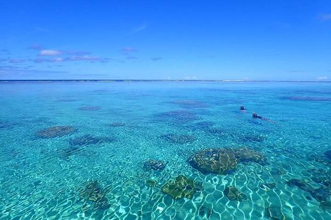 Bora Bora: Luxury Private Half Day Snorkeling Tour - First stop: looking for rays