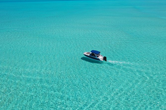 Bora Bora: Luxury Private Half Day Snorkeling Tour - Coral gardens and tropical fish