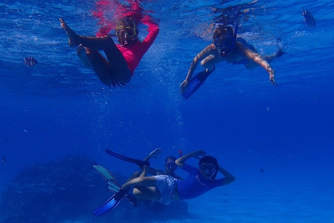 Bora Bora: Luxury Private Half Day Snorkeling Tour - Who will enjoy this tour most?