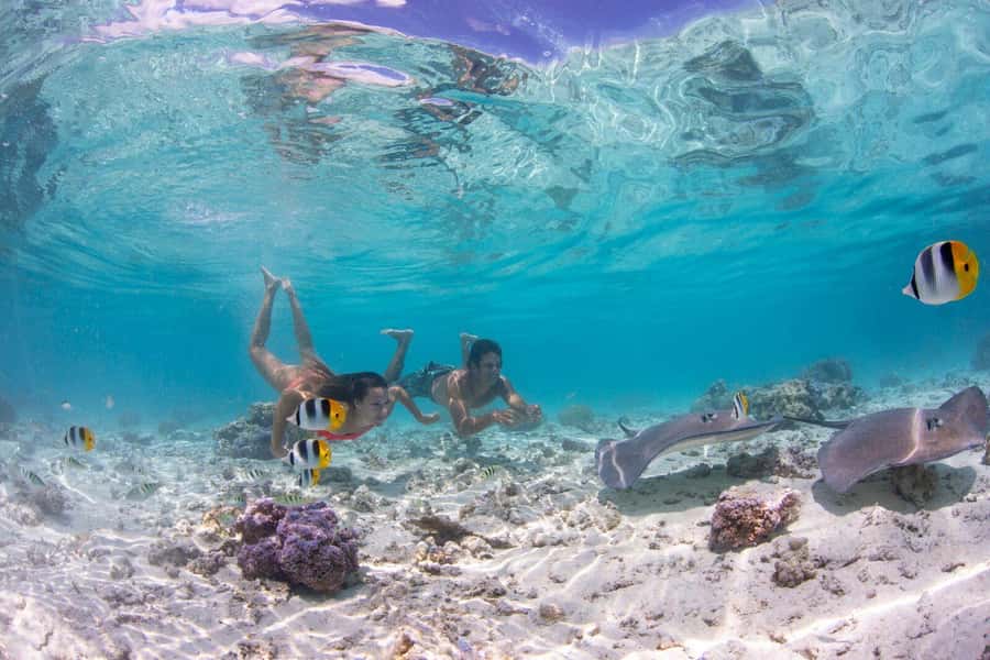 Bora Bora Luxury Tour and Beach Picnic - Key Points at a Glance