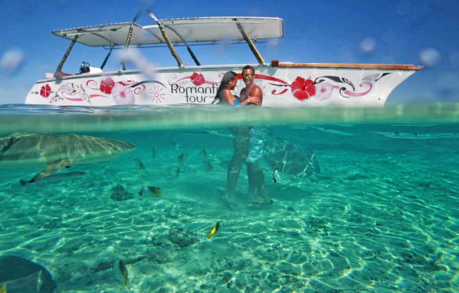 Bora Bora Luxury Tour and Beach Picnic - Who Will Enjoy This Most