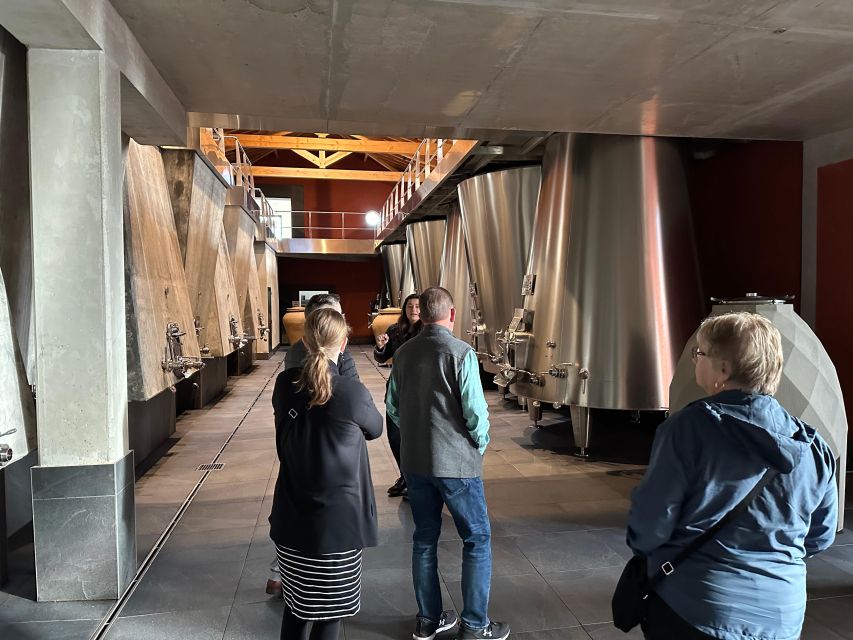 Bordeaux: Medoc tour in a small group (Luxury Mercedes EQV) - Why Medoc makes a rewarding day trip from Bordeaux