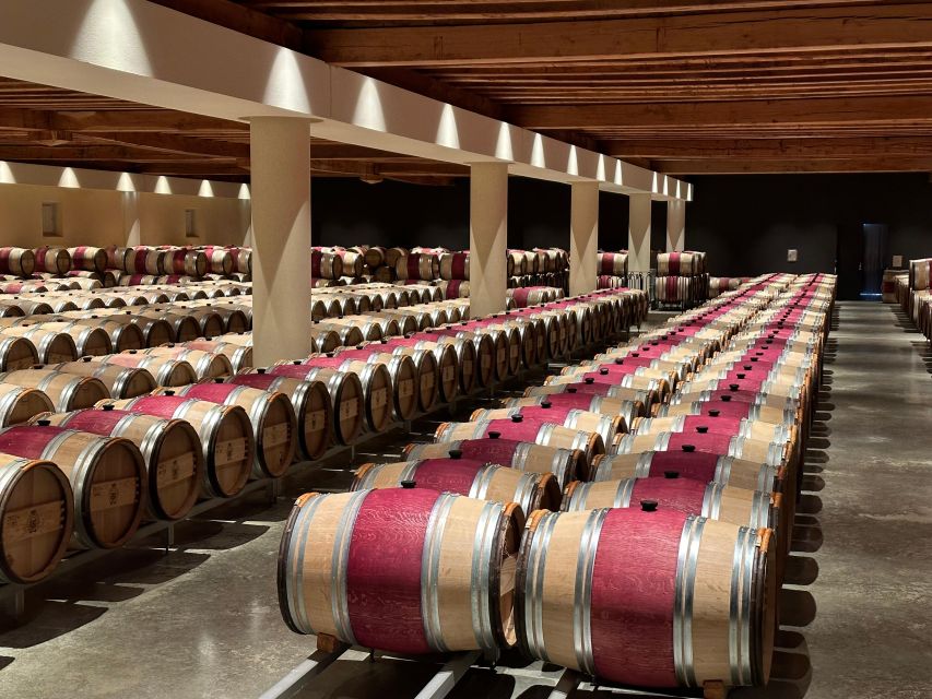 Bordeaux: Medoc tour in a small group (Luxury Mercedes EQV) - Pauillac: famous territory and more roadside context