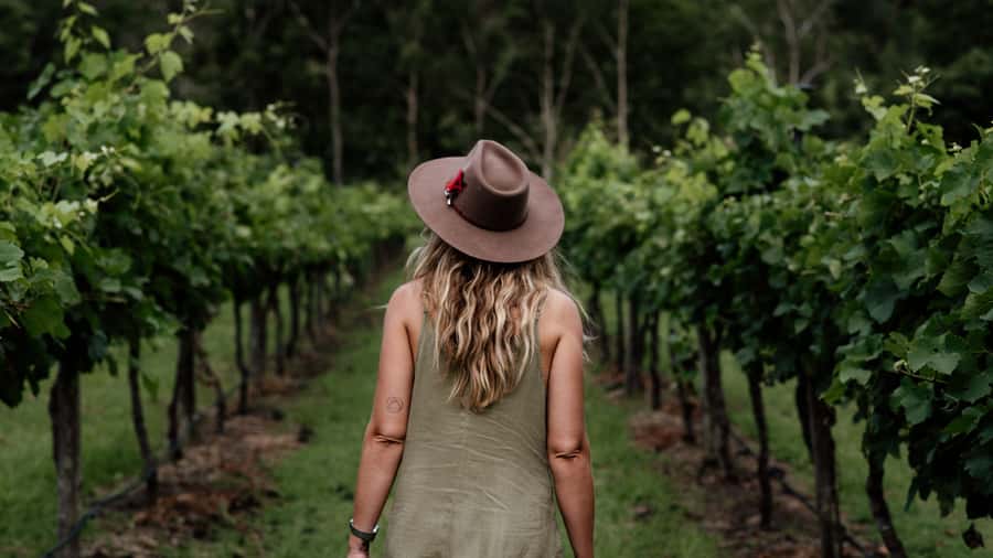 Brisbane: Boutique Winery Tour with Gourmet Lunch - Key points at a glance
