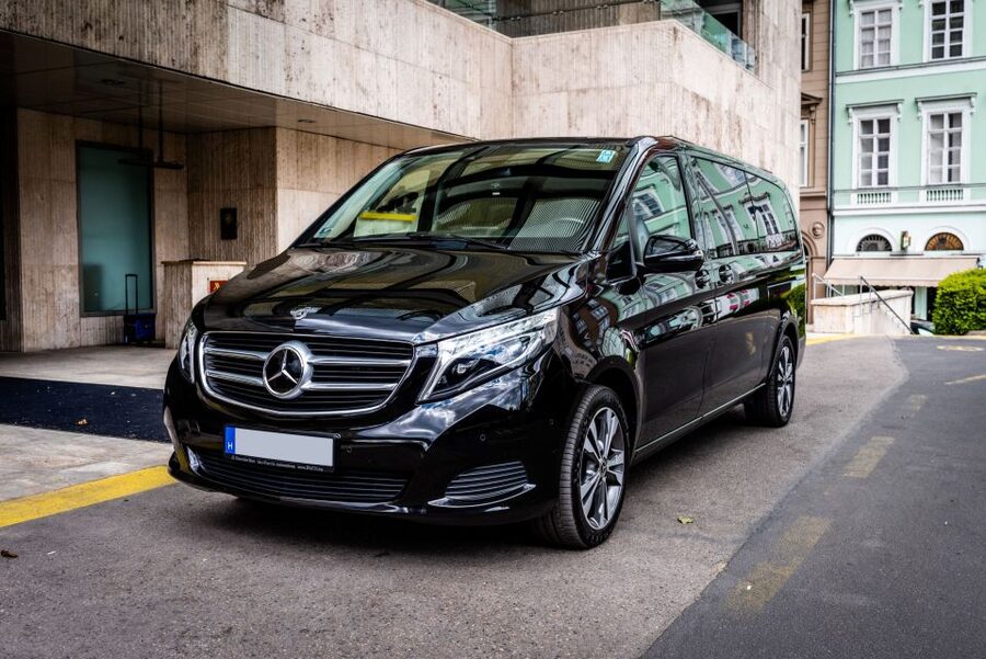 Budapest: Private Luxury Sightseeing Tour - Buda Castle and the medieval Castle District