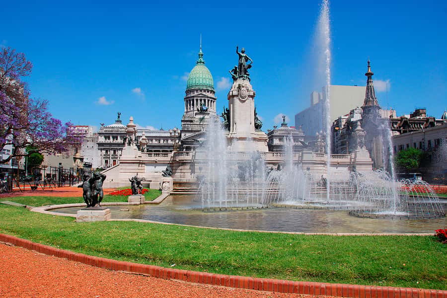 Buenos Aires City Tour with Luxury Lunch - Five hours on paper, but confirm the clock