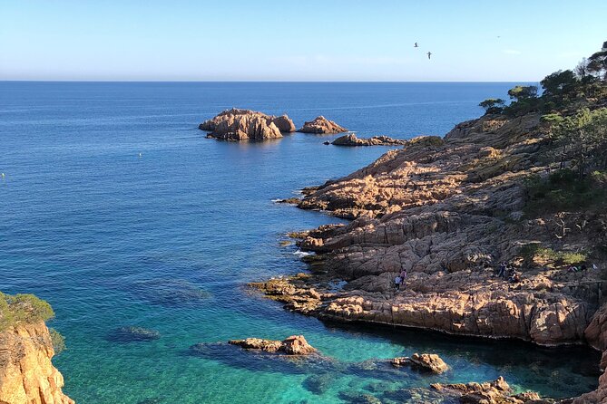 Cadaqués/Begur Private Luxury Tour Costa Brava by Mercedes Vogue - Key things to know before booking