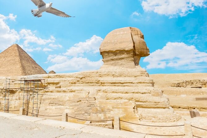 Cairo &Giza VIP 8 hours tour Pyramids, Museum,expert Guide,pickup - Who Will Get the Most From This Tour?