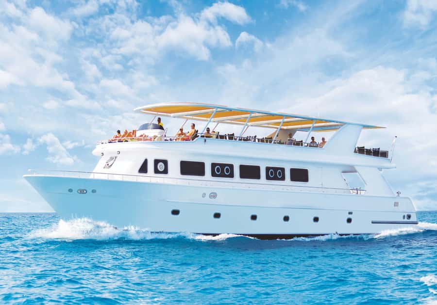 Cairo: Luxury Snorkeling Cruise & lunch with optional pickup - Why this is a useful Cairo add-on