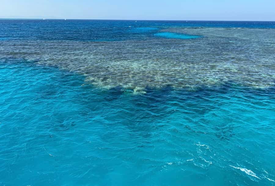 Cairo to Red Sea: VIP Yacht Cruise, Snorkeling & Lunch - Key points before you book