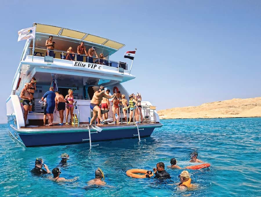 Cairo to Red Sea: VIP Yacht Cruise, Snorkeling & Lunch - Who will get the most from this outing