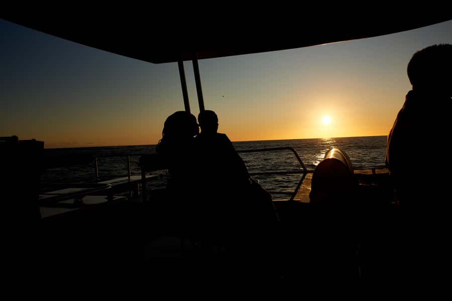 Cape Town: 1.5-Hour Luxury Sunset Cruise with Prosecco - Table Mountain from the water